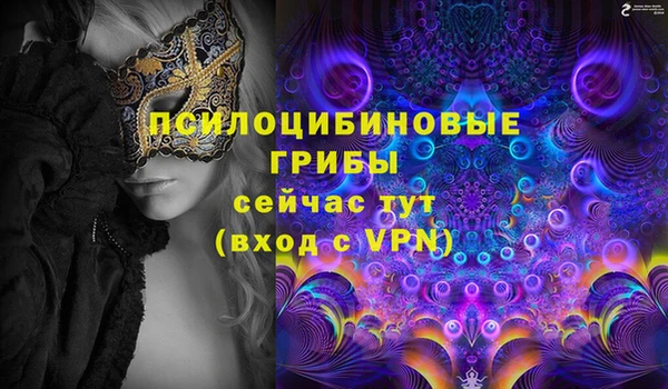 кокаин Горнозаводск